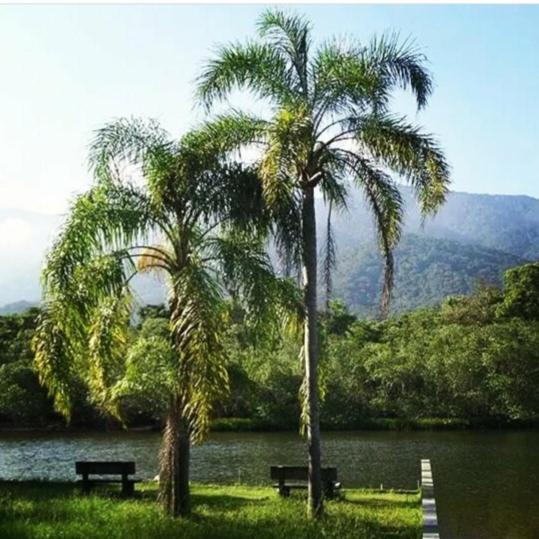 Suites Proximo Ao Rio Jaguareguava Em ベルチオガ エクステリア 写真